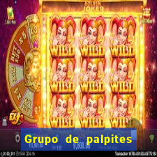 Grupo de palpites de futebol gratis